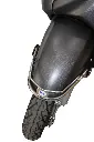 6.webp